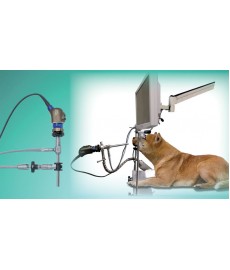 VITOM® 25